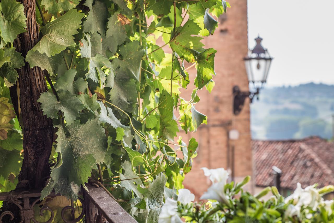 B&B Antico Tralcio Antignano  Екстериор снимка