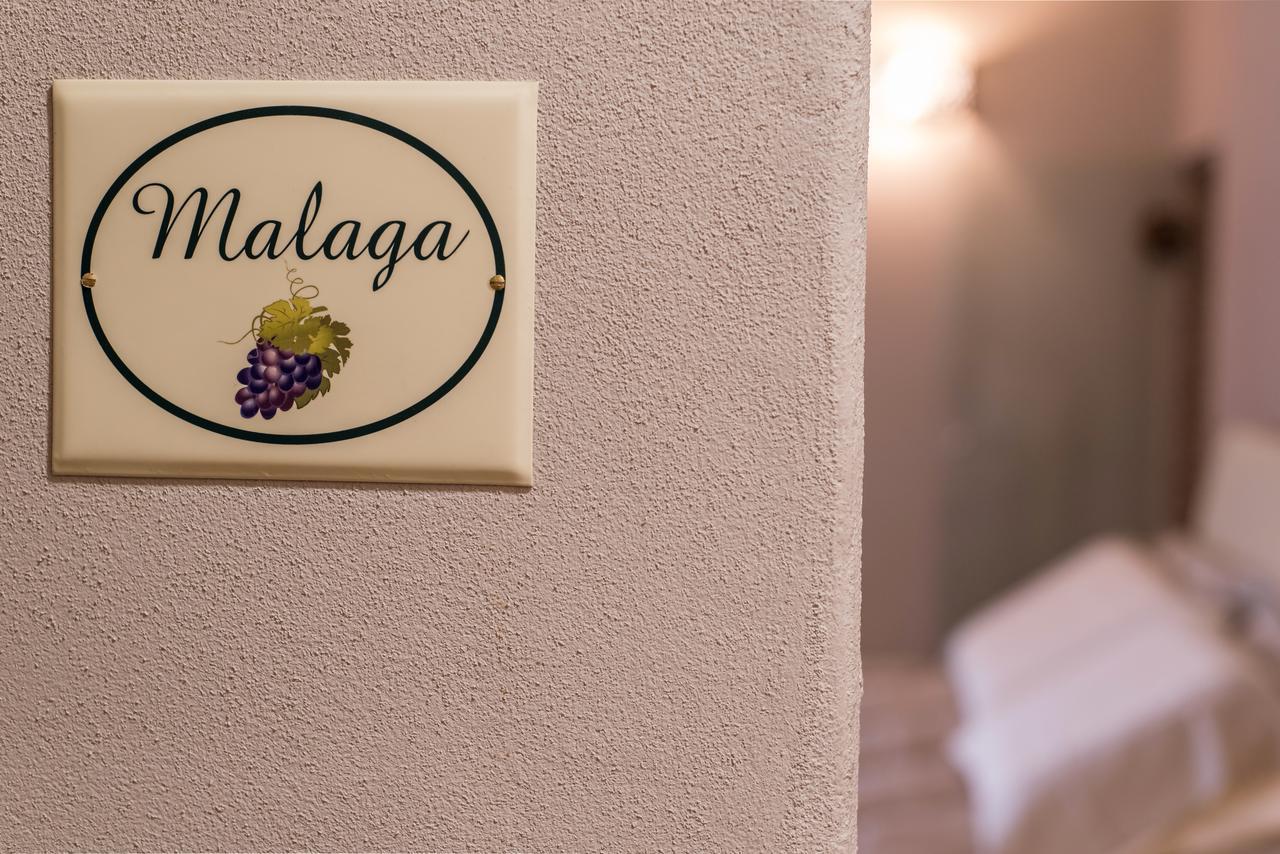B&B Antico Tralcio Antignano  Екстериор снимка